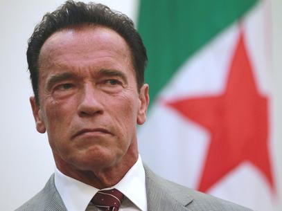 schwarzeneggerongargeliarts